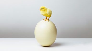 collaborada's tweet photo. Is the Next Generation of Your Family Business Entrepreneurial Enough? https://t.co/yueTvglzyU https://t.co/qN7eaAnYm3