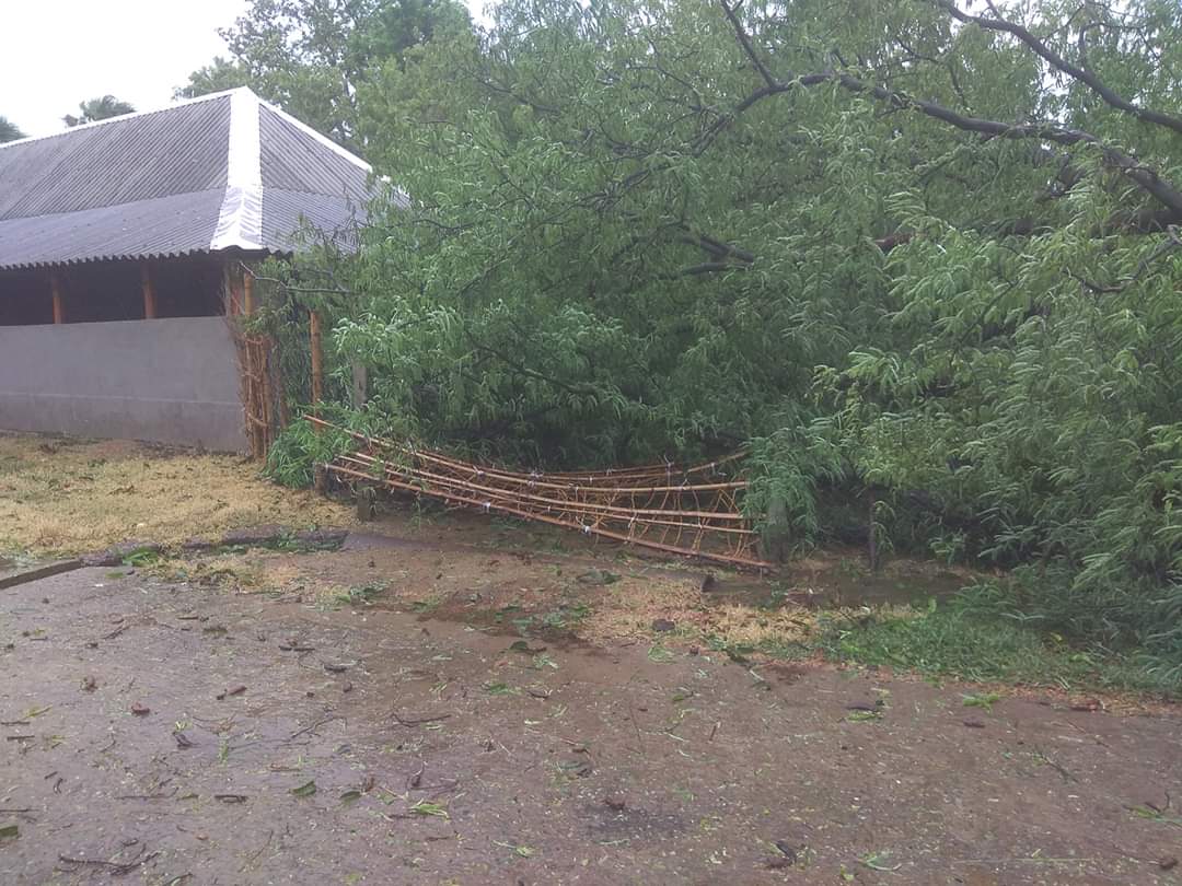yourchitta's tweet photo. This is the picture of post Amphan cyclone at Barikasahi, NADIGAN G.P, Soro Block. Villagers are unable to move outside the village due to blockage of road.
@DBalasore ,@SRC_Odisha Plz take immediate steps. https://t.co/pixJZ6vE7M