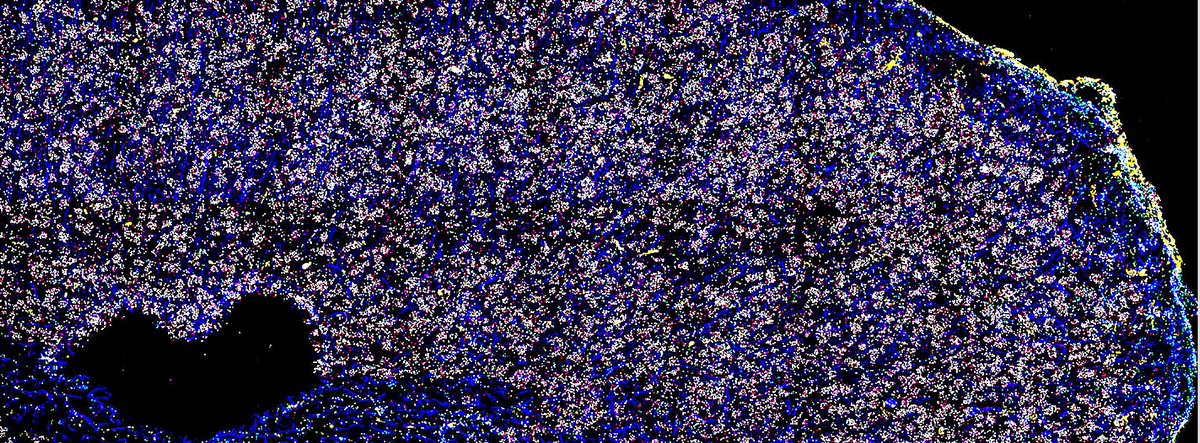 ReadCoor tweet media