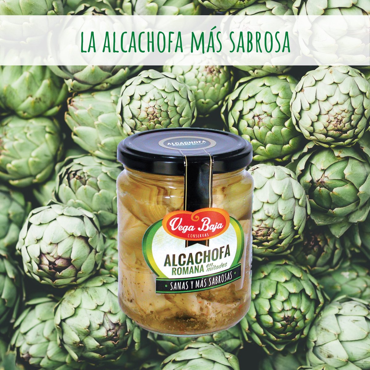 Las alcachofas son depurativas, diuréticas, anti-grasas, buenas para el hígado, digestivas, reducen el colesterol...y tenemos las más sabrosas, desde el corazón de la Vega Baja a tu mesa...😋 ¡Prueba nuestra alcachofa!

#Alcachofa #VegaBaja #Conservas