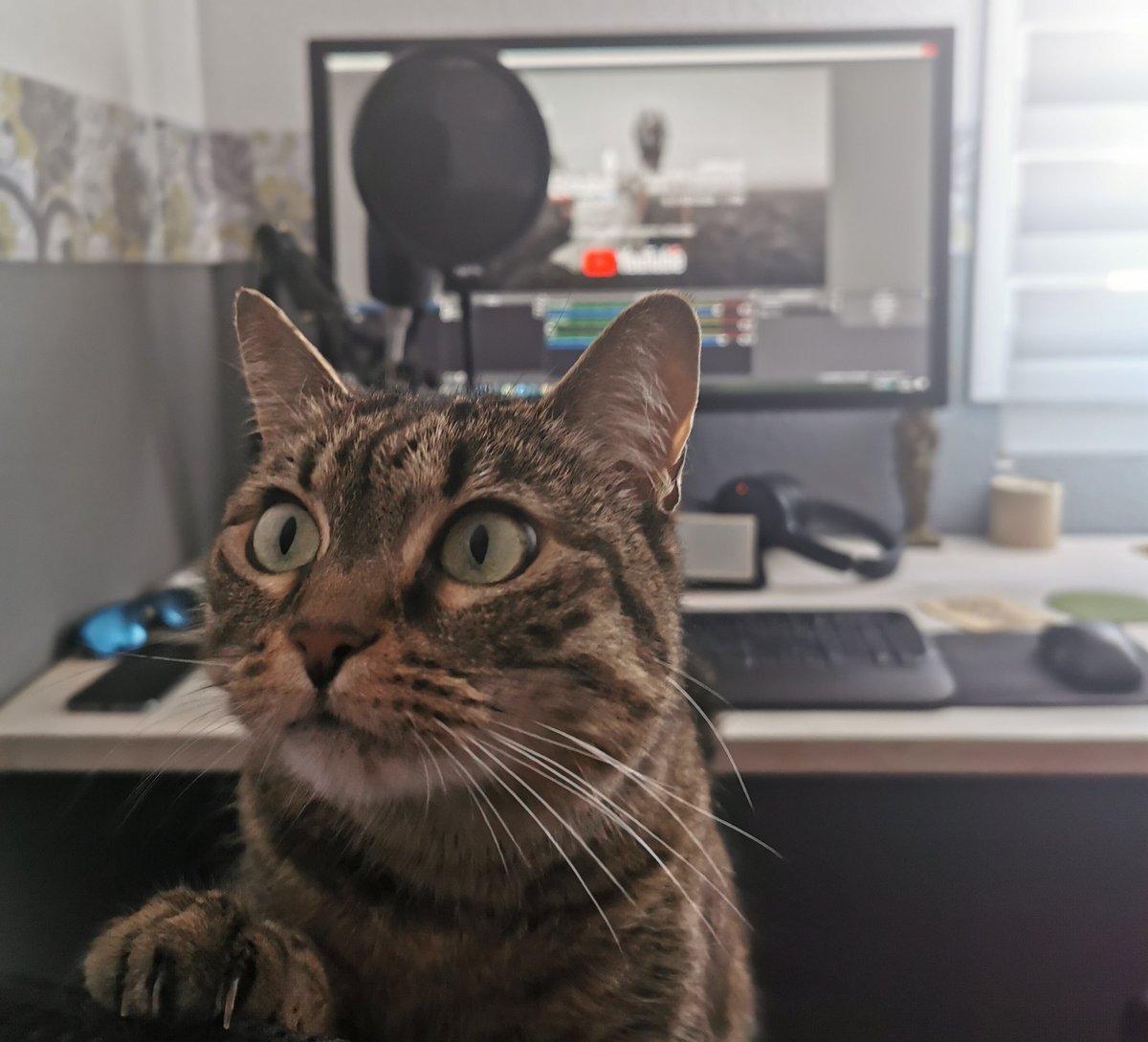 RGBaske's tweet photo. Tras las pésimas críticas recibidas por el presentador, RGBaske ha decidido contratar a una verdera profesional. Hoy presentará el podcast Mara. https://t.co/blN7hrJvML
