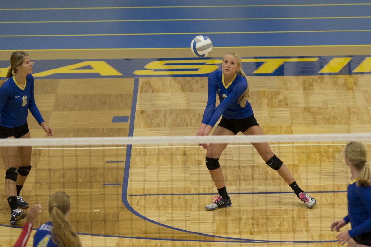 HHS_RaiderNews's tweet photo. Just announced, senior Mallory Brake has been named the 2020 St. Paul Downtown Lions Club Female Athlete of the Year.  Congratulations @MalBrake!   @ISD200 @ThaRaiderNation @HHSRaiderProud https://t.co/12CREOkhdD