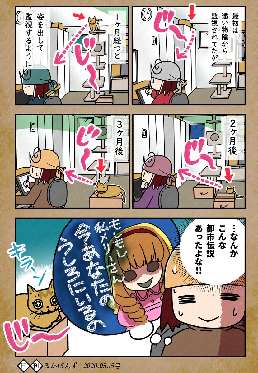 【猫マンガ】保護した猫がなつくまで試行錯誤した話_(完結済み2/3) 