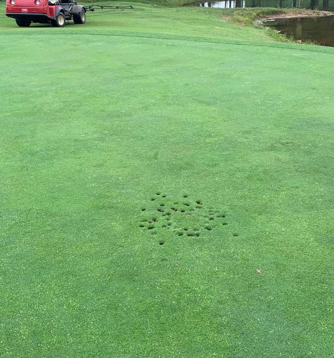riveroaksedmond's tweet image. Please contact us if you have any knowledge of who used the flagstick on hole #6 yesterday to do serious damage. 

This happened most likely in evening or at night on Wednesday, May 20th.