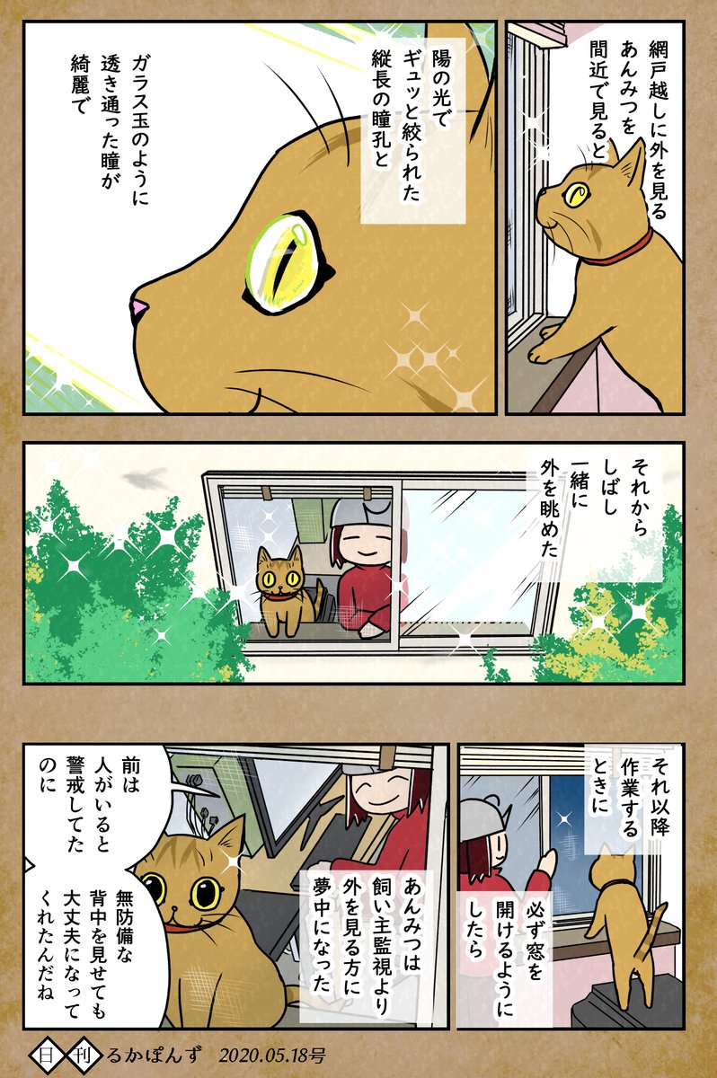 【猫マンガ】保護した猫がなつくまで試行錯誤した話_(完結済み3/3)

#保護猫3兄妹 #猫 #ネコ漫画 #コミックエッセイ #猫まんが #ペット漫画 