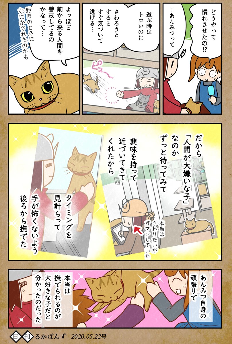 ネコ漫画