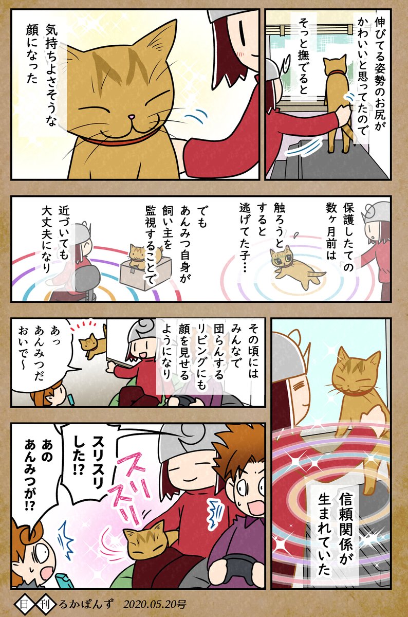 【猫マンガ】保護した猫がなつくまで試行錯誤した話_(完結済み3/3)

#保護猫3兄妹 #猫 #ネコ漫画 #コミックエッセイ #猫まんが #ペット漫画 