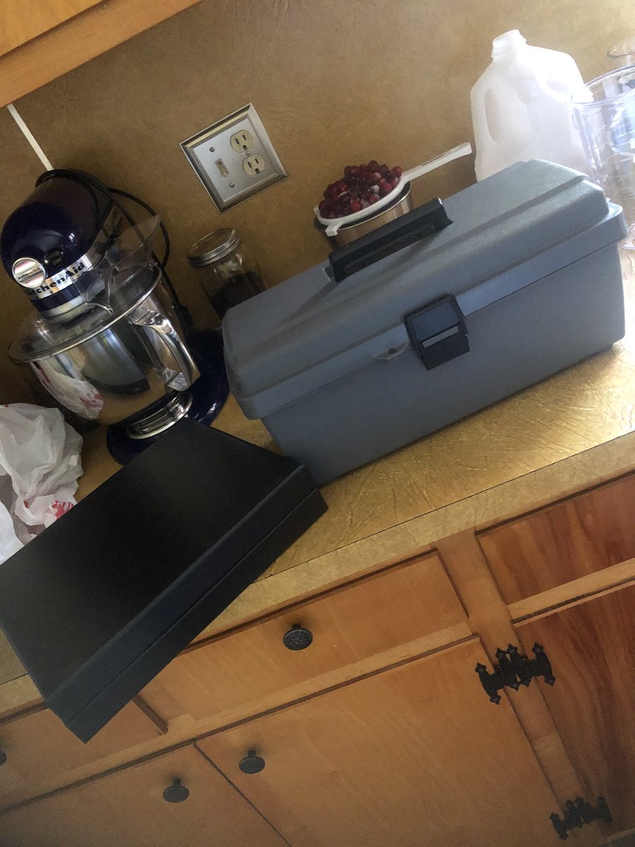 Patch_The_Medic's tweet image. *dab dab* bug collecting kit came today, now i can smack things with my net for class &amp;gt;:) #PercysLab