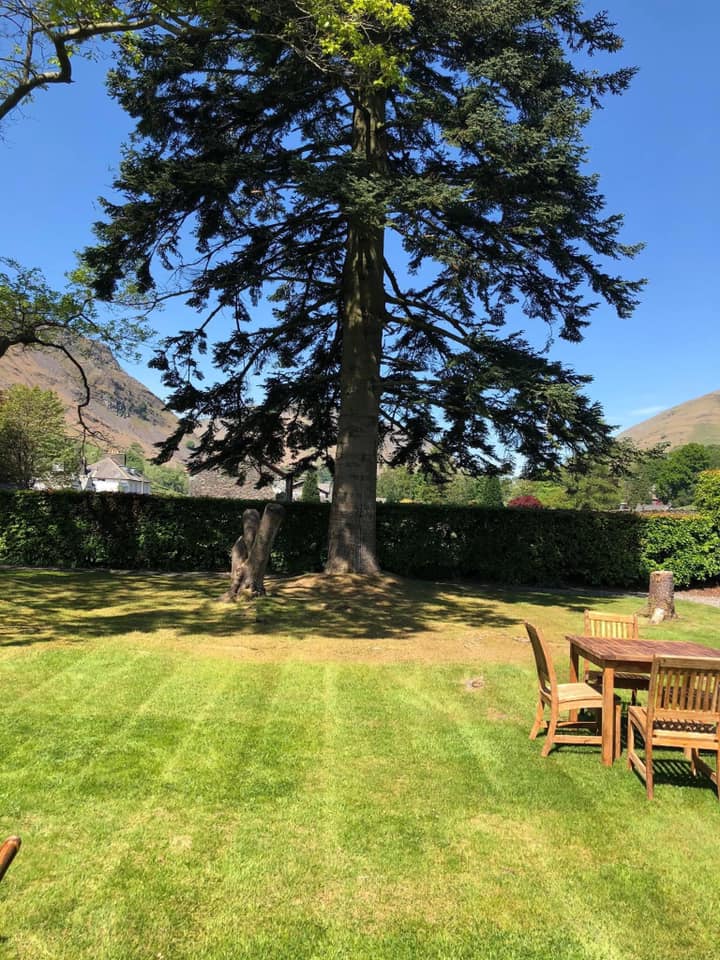 Expect to hear the sounds of chirping birds when you visit The Swan Hotel.
Our team has been putting up bird boxes in the trees in our gardens - let’s hope some adorable little birds decide to move into them!
#EatDrinkSleepExplore #LakeDistrict #TheSwan #InnCollectionGroup #Pubs