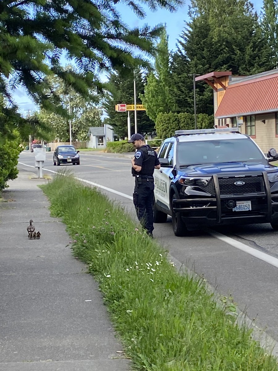 _WilmaDennis's tweet photo. Thanks to Officer Melton of @AuburnWAPolice for helping these ducks! What a morning! 😊 https://t.co/jflU01HyU3