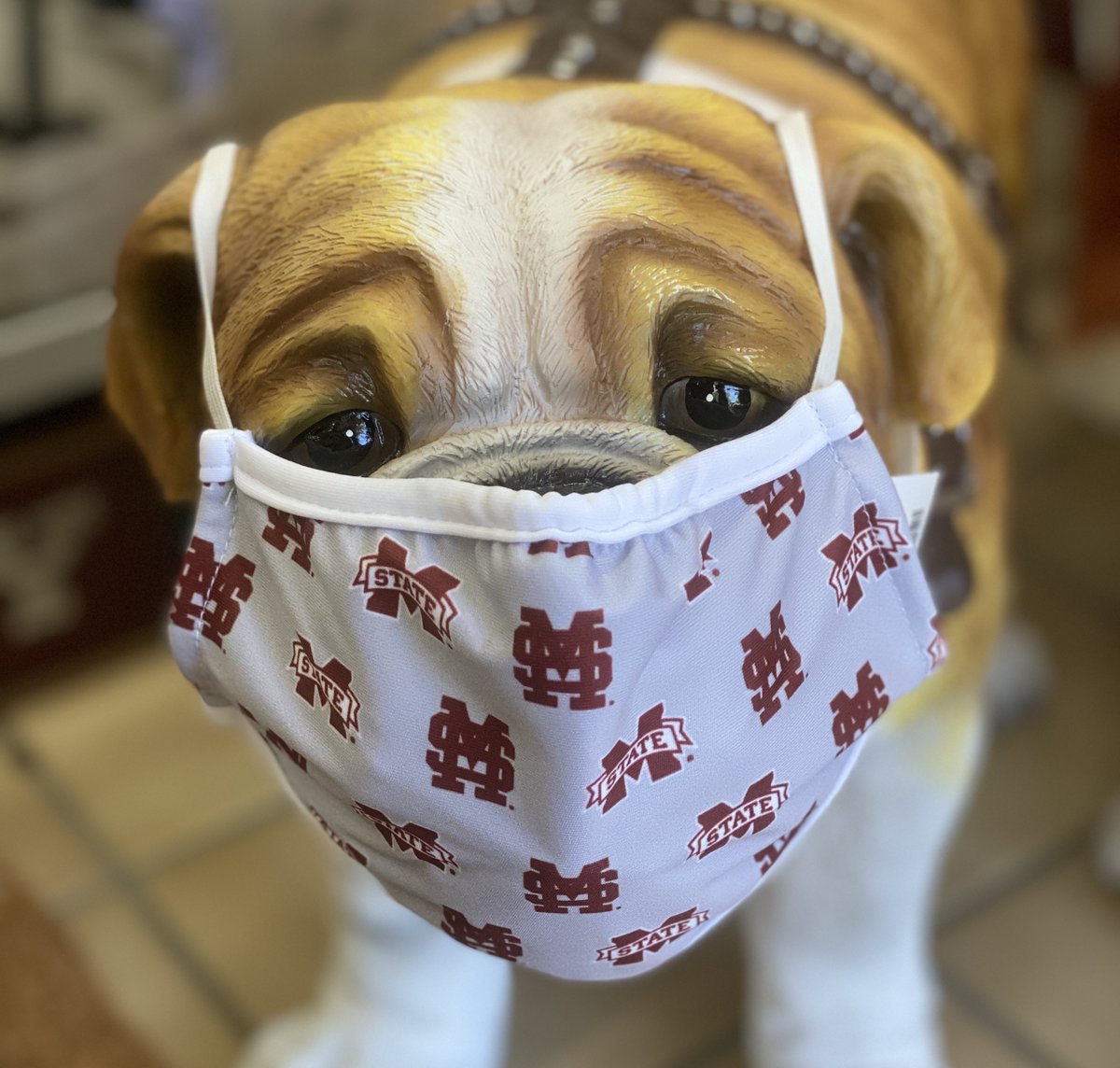CBM_MSU's tweet photo. This mask has you covered for every sport!!
$10.99
Shop now: https://t.co/EYxw7xC1l7
#Hailstate #Bullyapproved #staysafe https://t.co/rBXVBlXitC