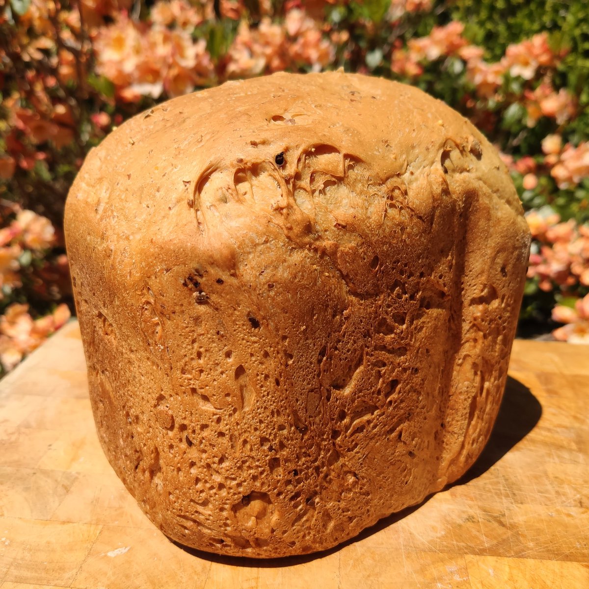 BishopWeston's tweet image. Great flour = great bread
Thanks @Pallets_Coffee 
#cookinginquarantine #StayAtHome #IsolationBaking #Quarantine #LockdownPuzzles