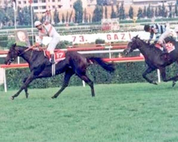 fatyhvarkal's tweet photo. #TBT
Bir Gazi Şampiyonu #Bartrobel 🐴 https://t.co/fsUY68HJFj