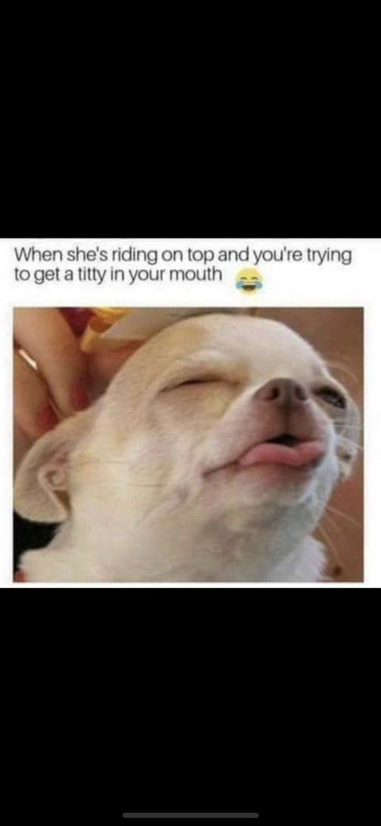 🤣🤣🤣🤣