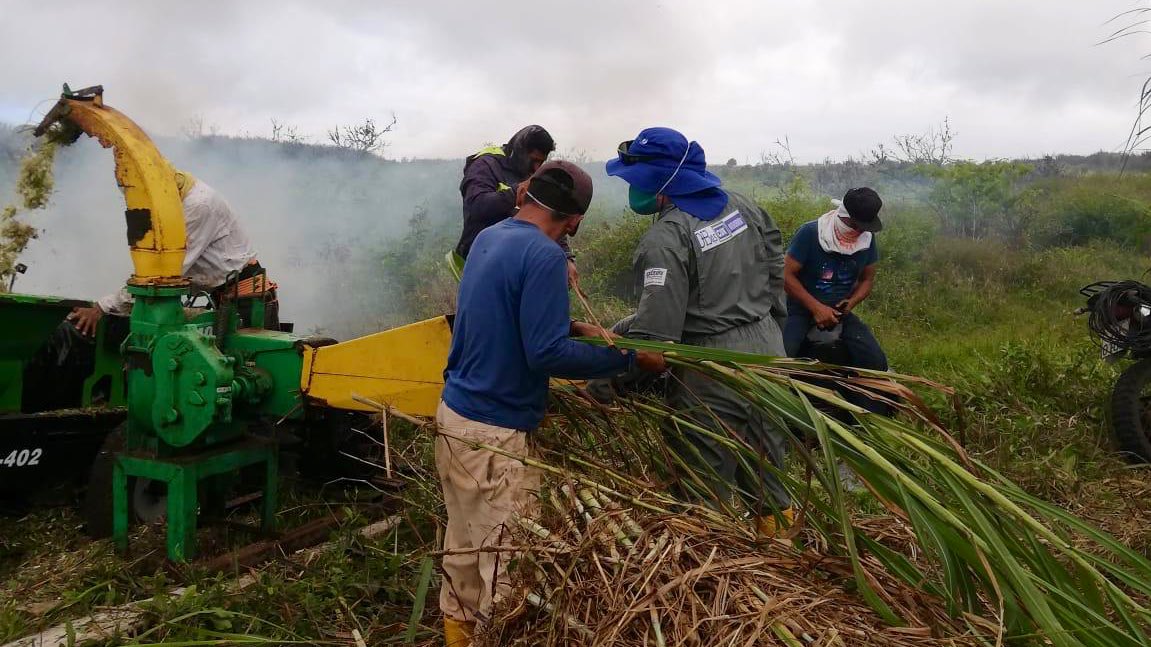 JustNormalWoman tweet media