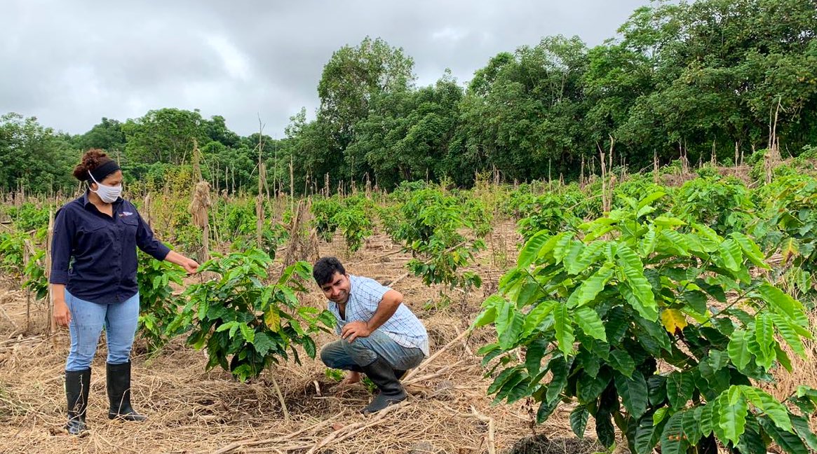 JustNormalWoman tweet media