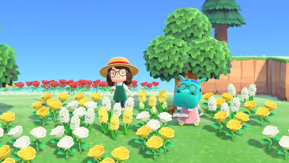 protecthozier's tweet photo. #AnimalCrossing #ACNH #NintendoSwitch https://t.co/2ReIfqD55z