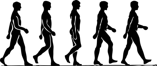 Decker_Lindsay's tweet photo. A thread on incorporating backwards locomotion to improve performance.  

As a human being you move forward for the majority of your life.  You walk forward, you reach forward, and most people primarily exercise forward. https://t.co/ommduuQ9DC