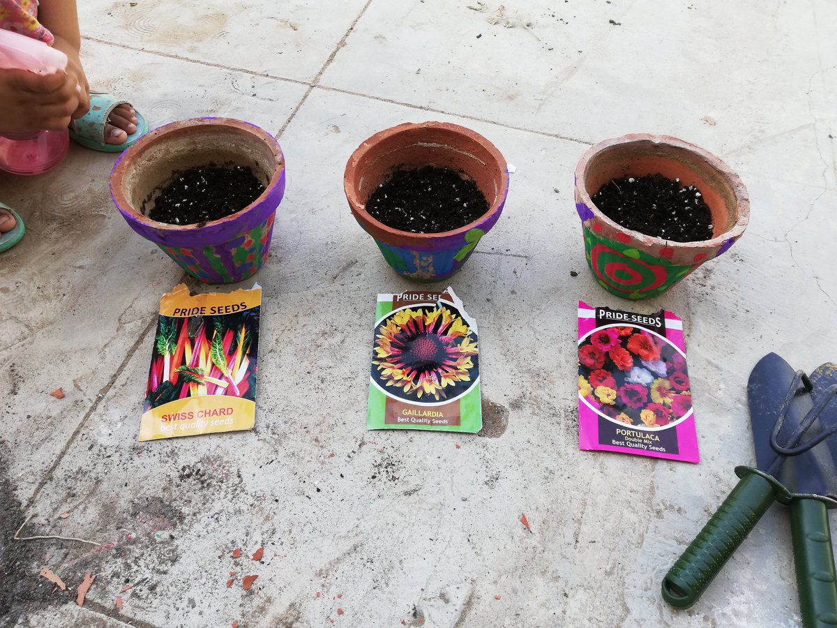 We colored some pots. And sow some seeds. Although it's too hot for these but still, was a fun activity with Rameen.