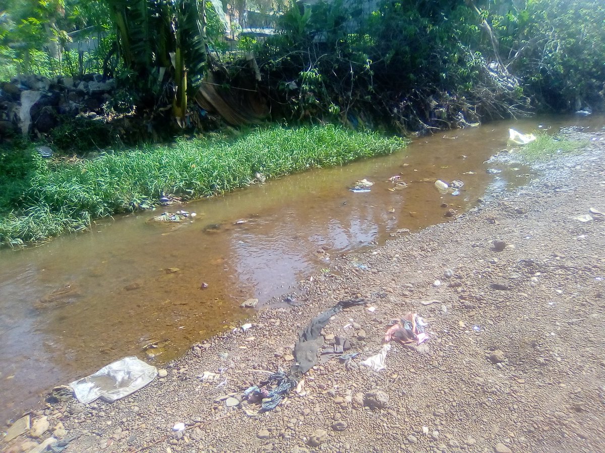 ConakryVille's tweet photo. Comment protéger quelques cours d'eaux qui existent encore dans la capitale #Conaky...?🤔🤔🤔
#Guinee #kibaro https://t.co/j6Ac6IRJJc