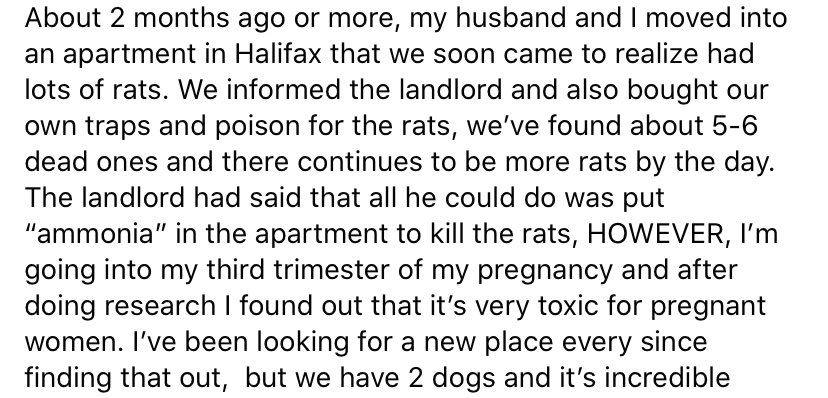 The state of rentals in #Halifax is horrific. This pregnant woman can’t get her landlord to do anything about RATS and can’t find another place because of owning two dogs. People can’t thrive in these conditions. Things need to change. #rentreform #landlordlegislation