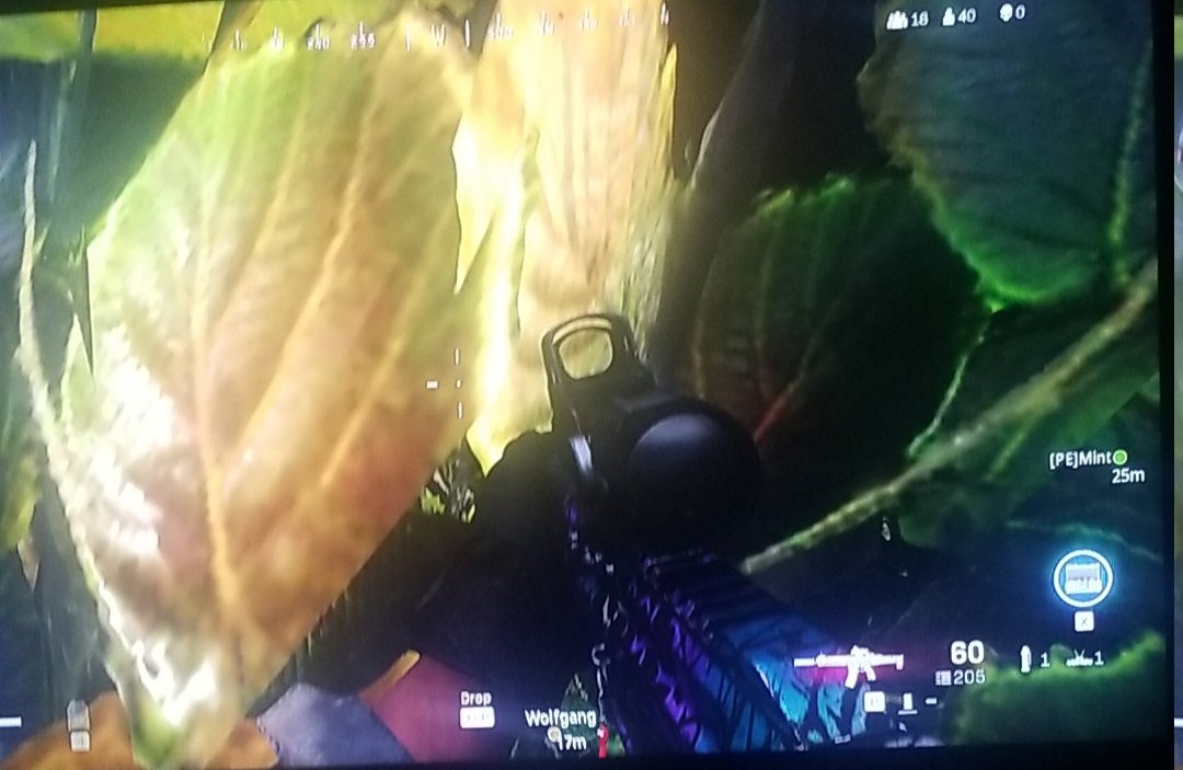 lolGusha's tweet photo. Bush camping with the boys 😂😝 https://t.co/brIyd2qxYx