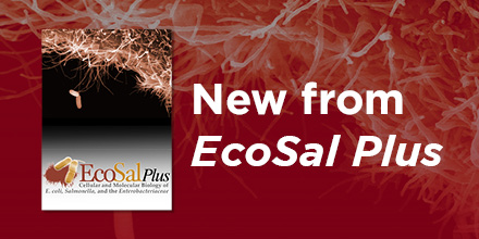 ASMicrobiology's tweet image. "Trans-Acting Small RNAs and Their Effects on Gene Expression in E. coli and S. enterica" summarizes what we have learned from the studies of small regulatory RNAs (sRNAs). Read the full article here! #Ecoli #smallRNAs skyw.io/IZQ5nJ