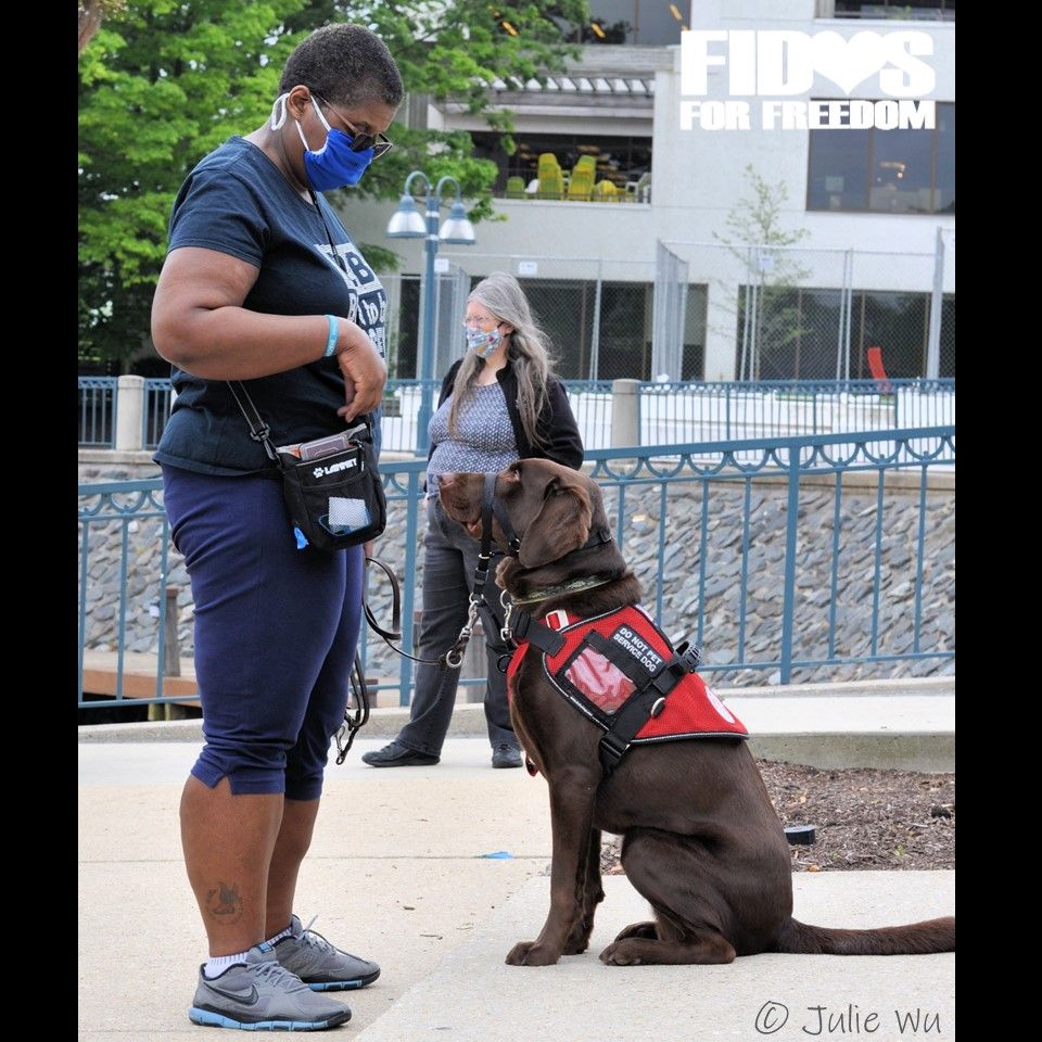 FidosforFreedom's tweet photo. Team Cara and Caesar were out practicing their skills with Trainer, Mary. Our 2020 "Quaran-Teams" are a special and determined group, for sure!
#servicedog Caesar #servicedogteam #skills #greatday #labradorretriever https://t.co/PQJmzGxc2S