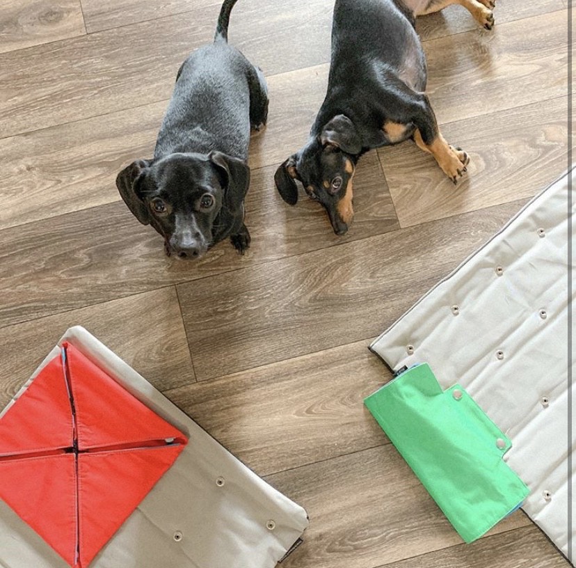 EPiQ Animal Health tweet media