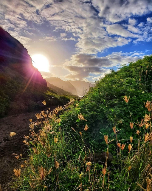aquaaston's tweet photo. We’re grateful for experiences that let our world come together as one through generosity, kindness and hope. Thanks to our community, our outlook is brighter than ever before. #GoodVibesOnly #ShareTheAloha
Photo: Oly Vert https://t.co/pTakAfeHgy