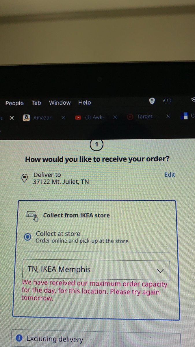 eskeifer's tweet photo. @IKEAUSA why is it so impossible to place an order online? What kind of error message is this? https://t.co/HMWKFz6urs