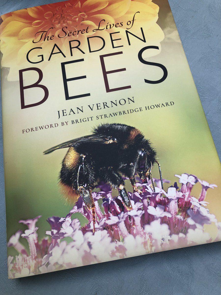 Arrived this morning thank you Jean . Looking forward to reading it