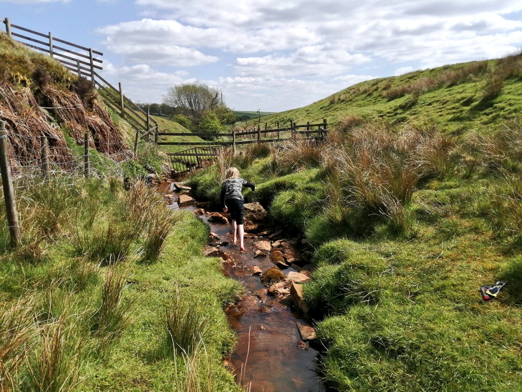highfieldsherdy's tweet photo. Our favourite spot. Most days me & little man talk a walk to our little patch of the #river #hamps on the farm. He paddles, & we both sit listening to the sound of the water & nature around us. Little haven of #wildlife #butterflies & #wildflowers heaven https://t.co/JrPjmldNjo