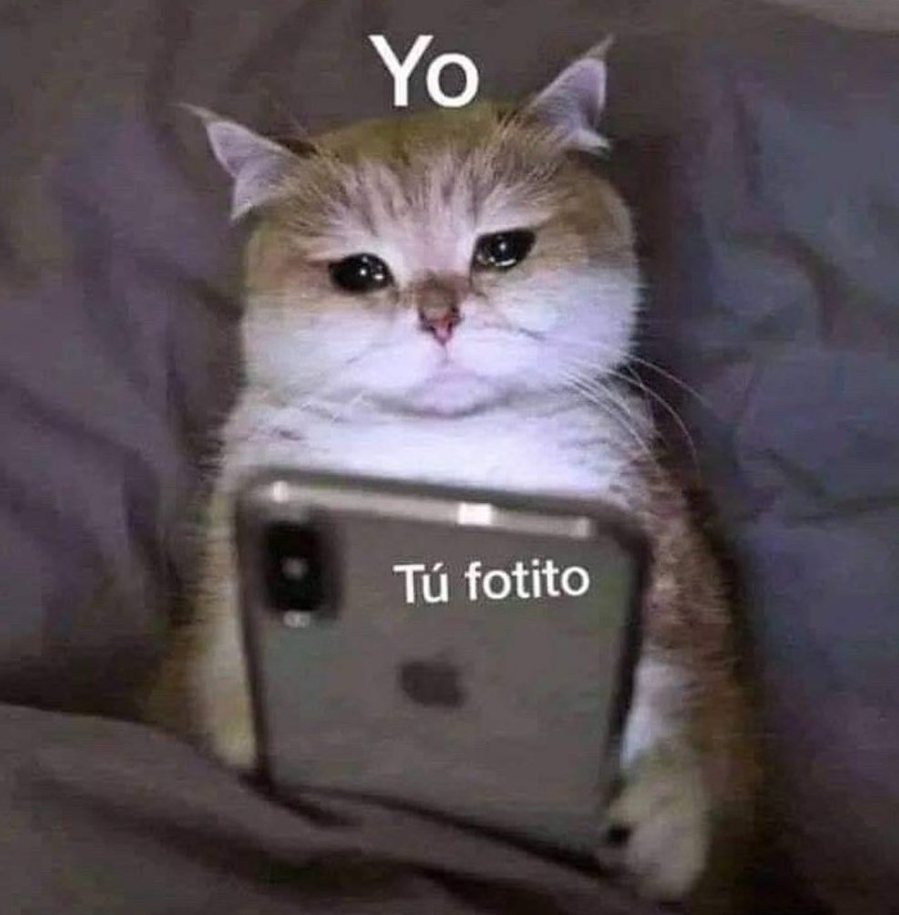 piña sin pizza tweet media