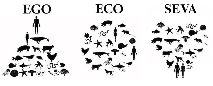 I suggest, that as core identity becomes more differentiated it erodes moral consideration, and exacerbates divisiveness.This is because most people are driven by varying degrees of herd mentality.Perhaps acknowledging Nth would be much simpler if we shared the same core?