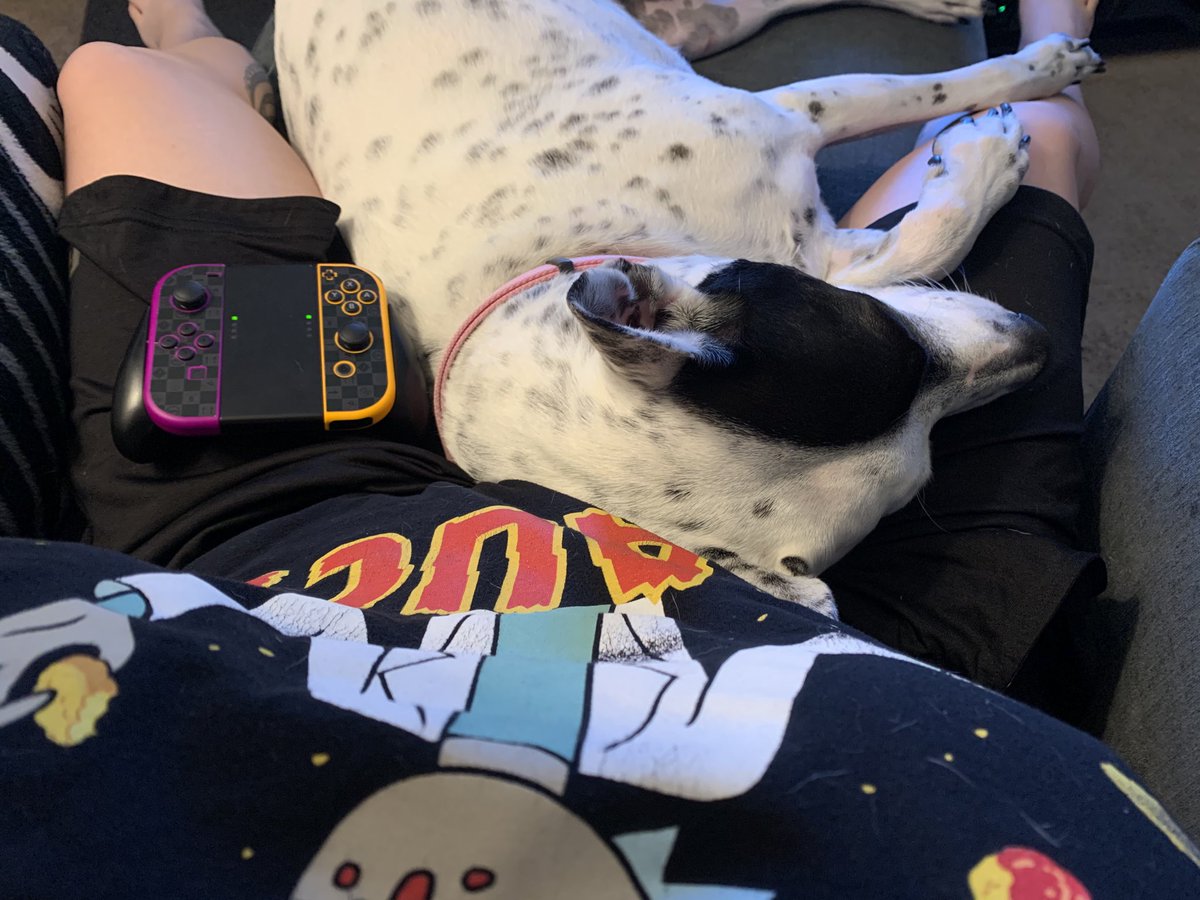 Tchave5's tweet photo. My gaming buddy https://t.co/iMPSYGYOYV