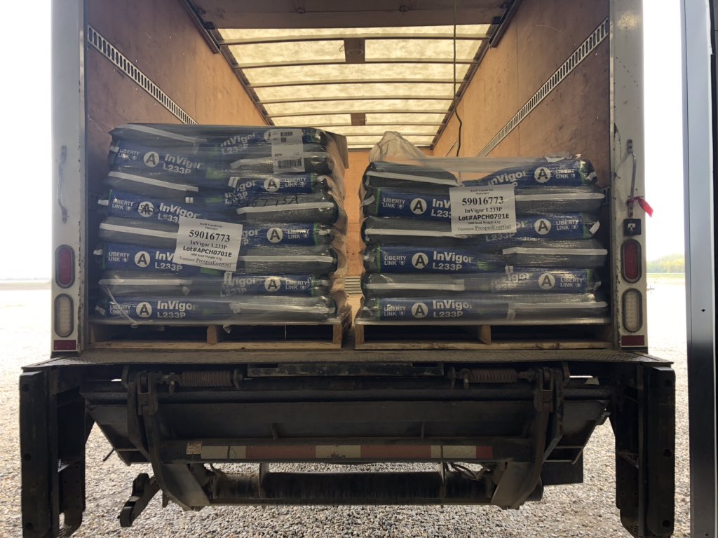 SynergyAGYktn's tweet photo. Loading up with more @BASFAgSolutions Invigor L233 that is going in the ground today.
PodShatter technology as well as yield that is second to none in the industry.
#RootsYouCanCountOn
#InvigorRate https://t.co/lqXWC2v4Q5