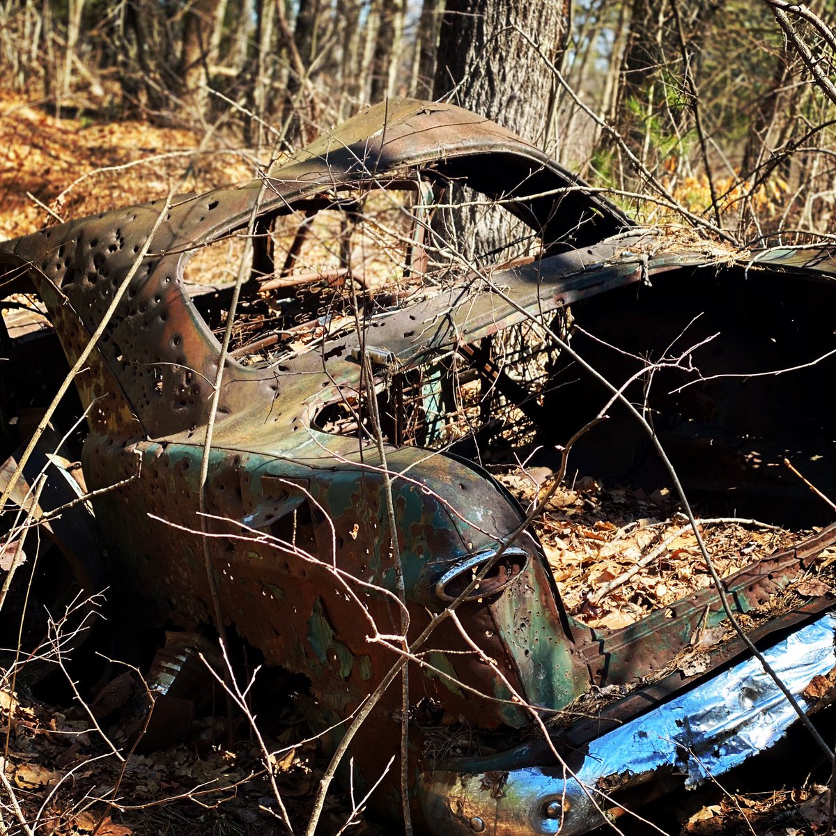 Silverslingers's tweet photo. Found this!! Was it in a shootout? 🤔 
#bonnieandclyde #abandonedcar #deepinthewoods #metaldetecting #metaldetector #treasurehunting #explore #exploration #abandoned #oldcar #timetravel #timetraveler #mystery #dirtfishing #treasurehunter #carsofinstagram #vintagecar #carspotting https://t.co/c7GDDVpzrp