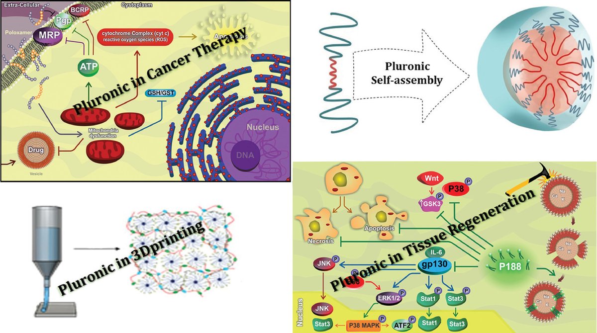ActaBio's tweet photo. REVIEW by Professor Sabu Thomas: Poloxamer: A versatile tri-block #copolymer for biomedical applications @okstate @uoftmedicine https://t.co/TuZm94PrzQ https://t.co/18SJ6cLfM3