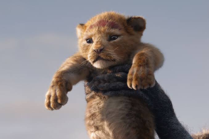 The terms of the settlement agreement expired and Disney released a new version of The Lion King in 2019. It made more than 2 billion globally. The daughters will not get royalties for use if the song from Disney for this one.