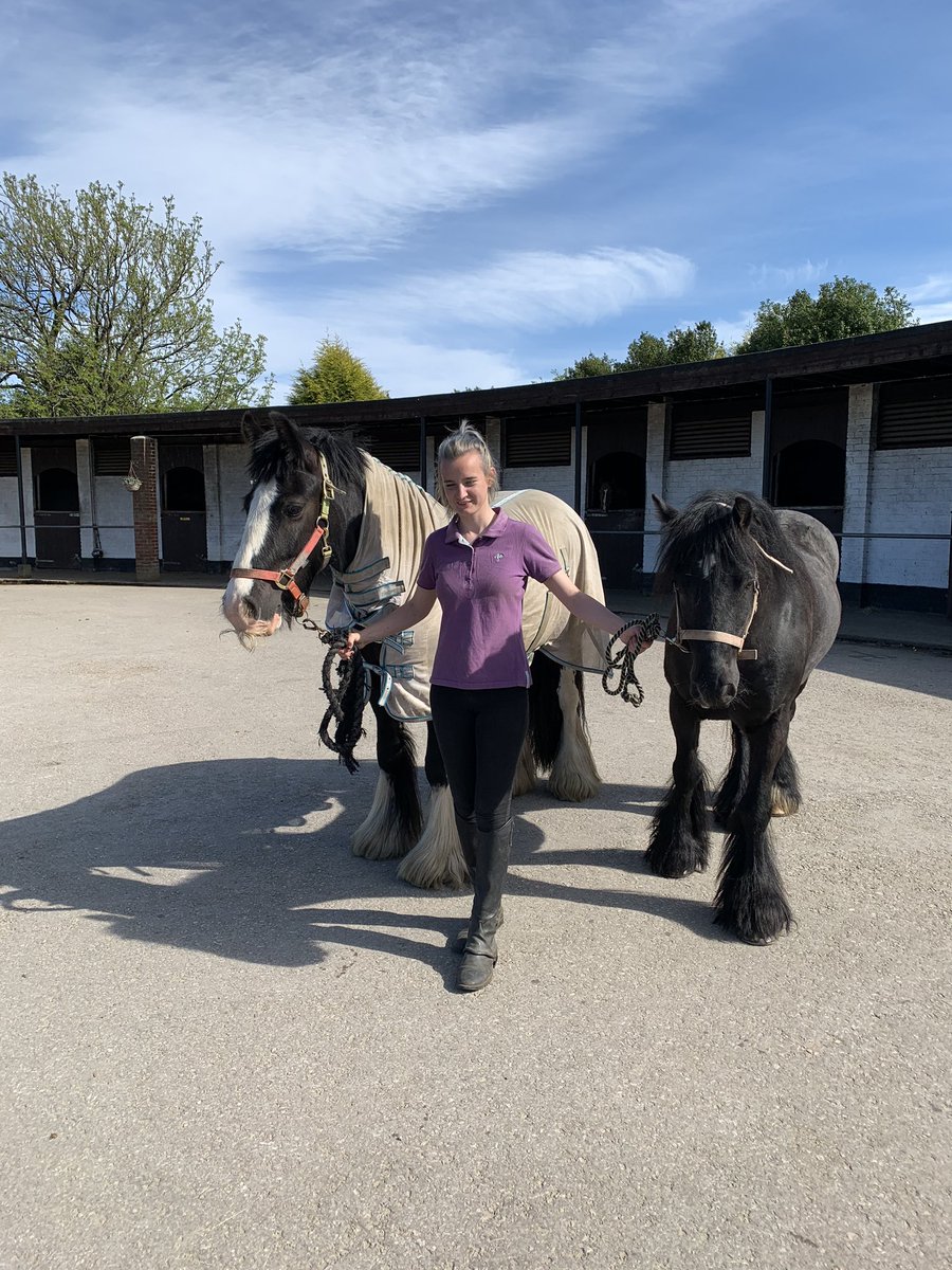 What a day 😱end very well huge thank you for retweet’s much appreciated #SafeAtHome 💕