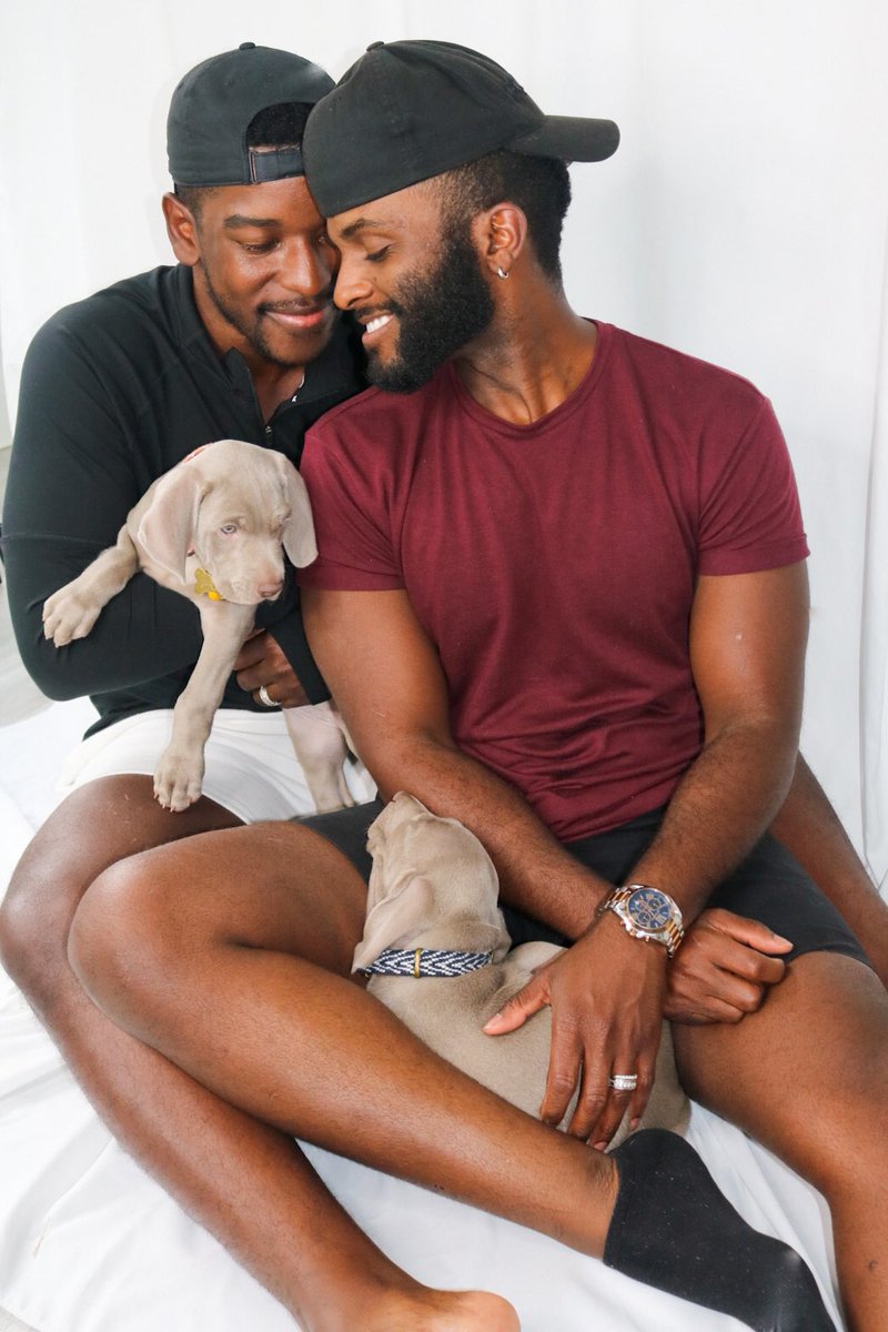 Dom_and_Nick's tweet photo. Spence Paw-ty of 4 🐾  Meet Witney &amp; Winter 💕 https://t.co/72cMlpR9kj #Puppy https://t.co/mqazx78tsa