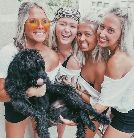 Did you know many of our units are pet-friendly? We are so thankful for all our two-legged and four-legged residents! #PetFriendly #BrooksidePups #LiveAtBrookside #Mizzou