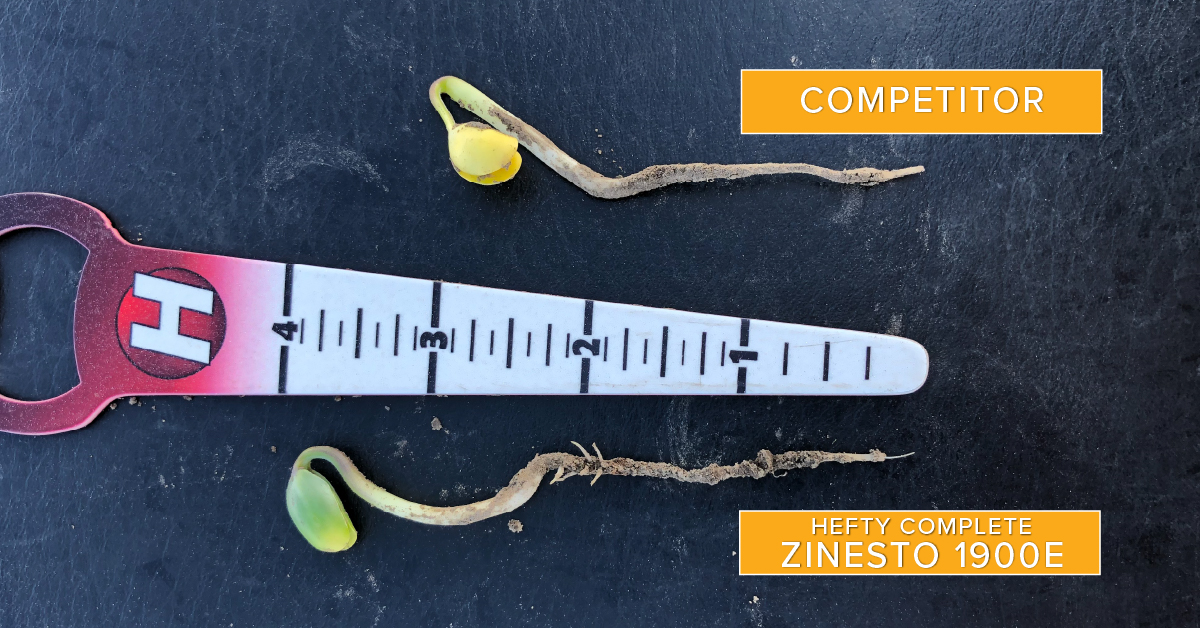 HeftySeed's tweet photo. What if the same seed you already love grew a deeper, stronger root system? Or emerged faster? Hefty Complete Seed Treatment does exactly that! Zinesto 1900E treated with Hefty Complete is outshining its competitor! Learn more at https://t.co/zBtOHhaENq #heftyyields #plant2020 https://t.co/9pgvJZL4eM
