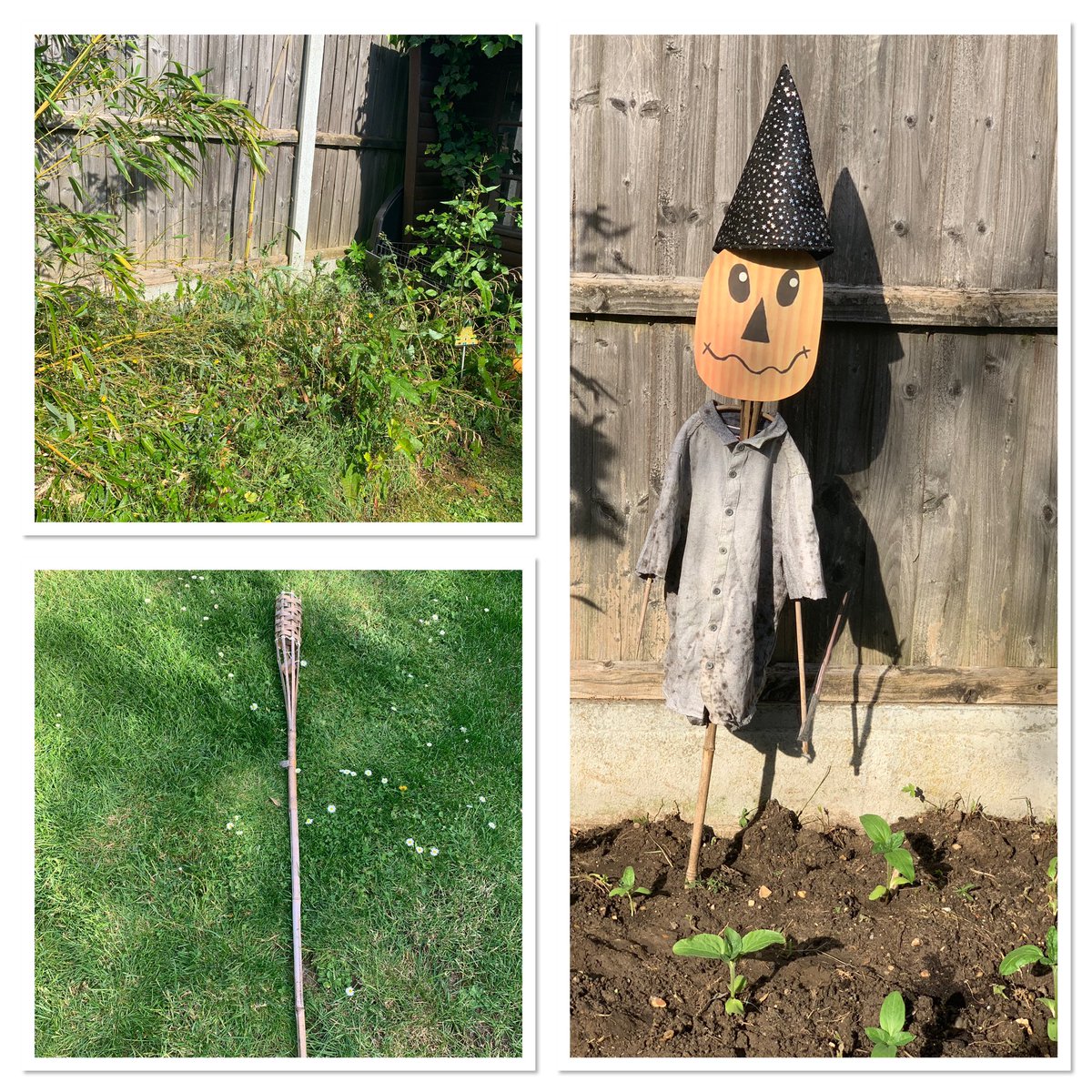 PoppiGoldsmith's tweet photo. @weswellbeing Noah has up-cycled a broken lantern to a scarecrow and then used the scarecrow to up-cycle his sunflower patch! #Rokell https://t.co/MnsA5v9bZB