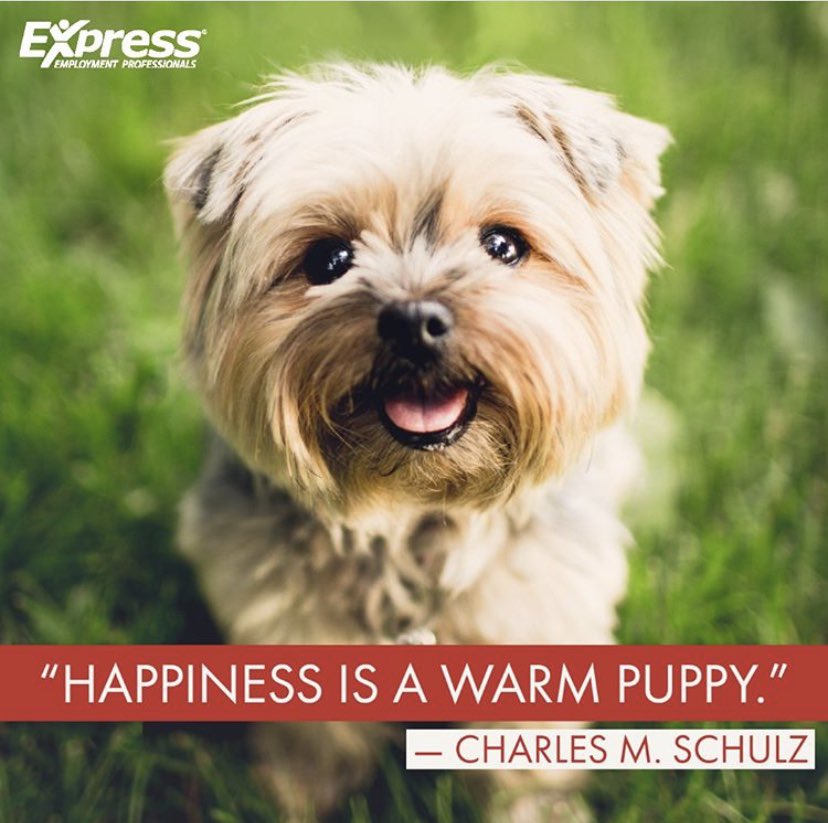 ExpressPros_TX's tweet image. Thankful Thursday!! Remember this Thursday to be thankful and happy for everything the universe has given us. We have been through a rough time recently, but the best is yet to come! 
#expresspros_bestoftx