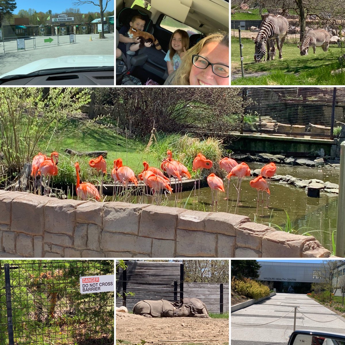 Field trip and science lesson. Great day at the Toronto zoo scenic safari 🦓🦒🦏 <a href="/TheTorontoZoo/">The Toronto Zoo</a>