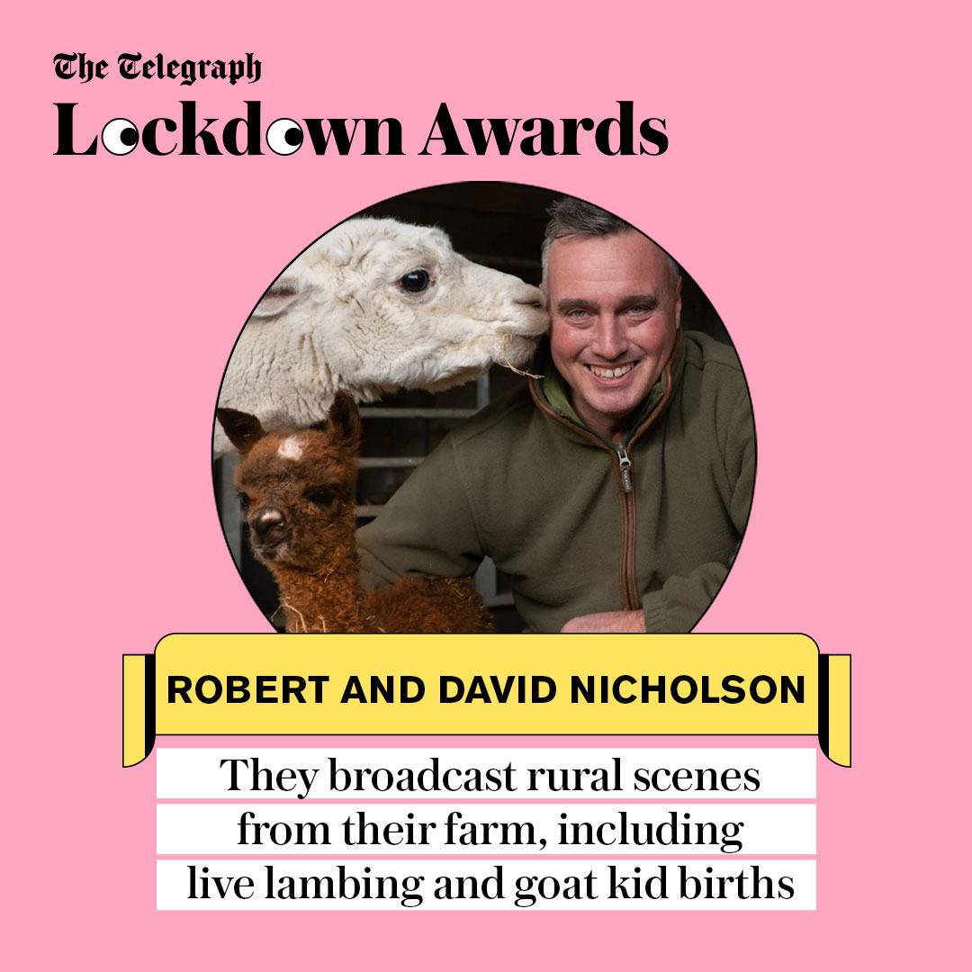 ? The Nicholson brothers at CannonHallFarm have been live streaming