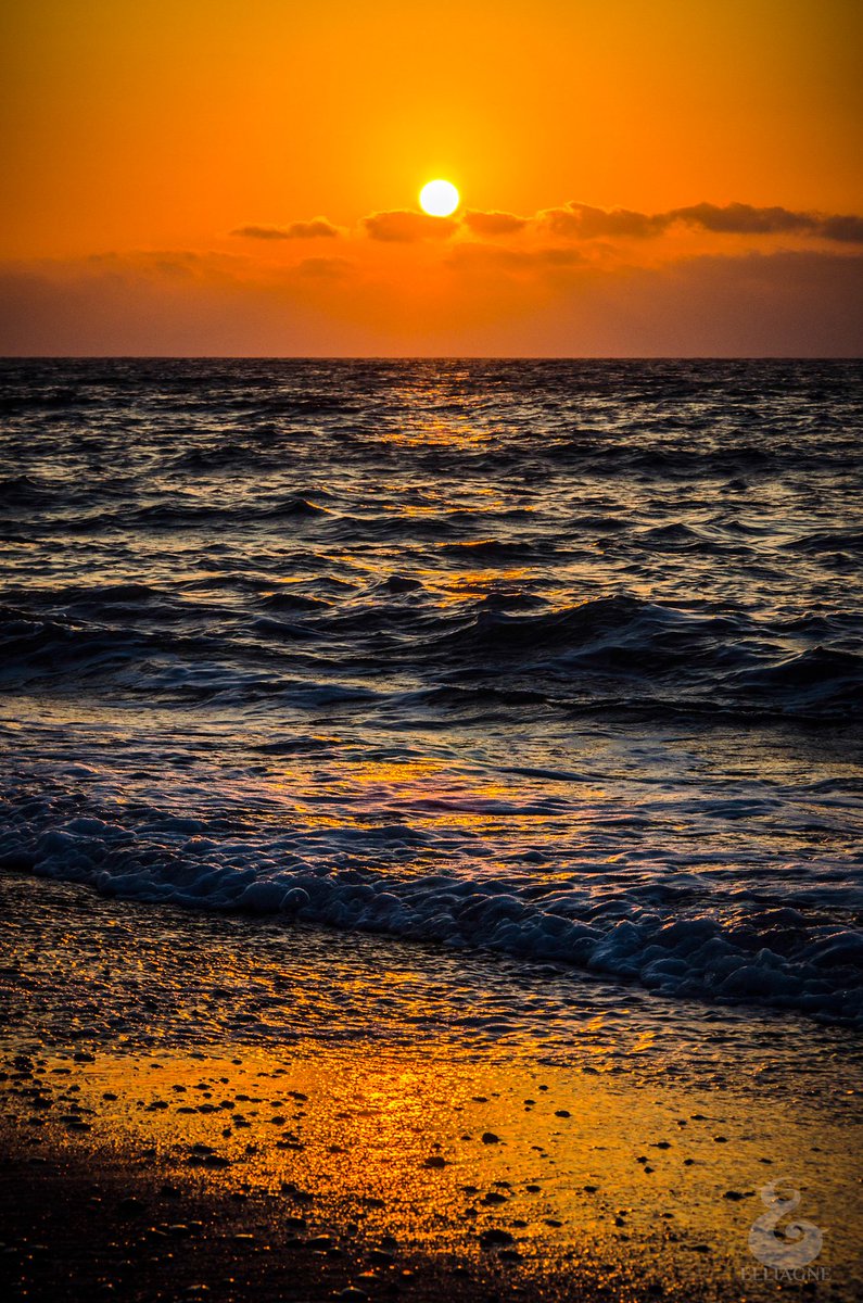 elliagne's tweet photo. Here it goes:

I miss our beautiful sea and hope to be with it asap!

#Cyprus #LoveCyprus #SummerCyprus #CyprusSea https://t.co/jjAhwzAd5G