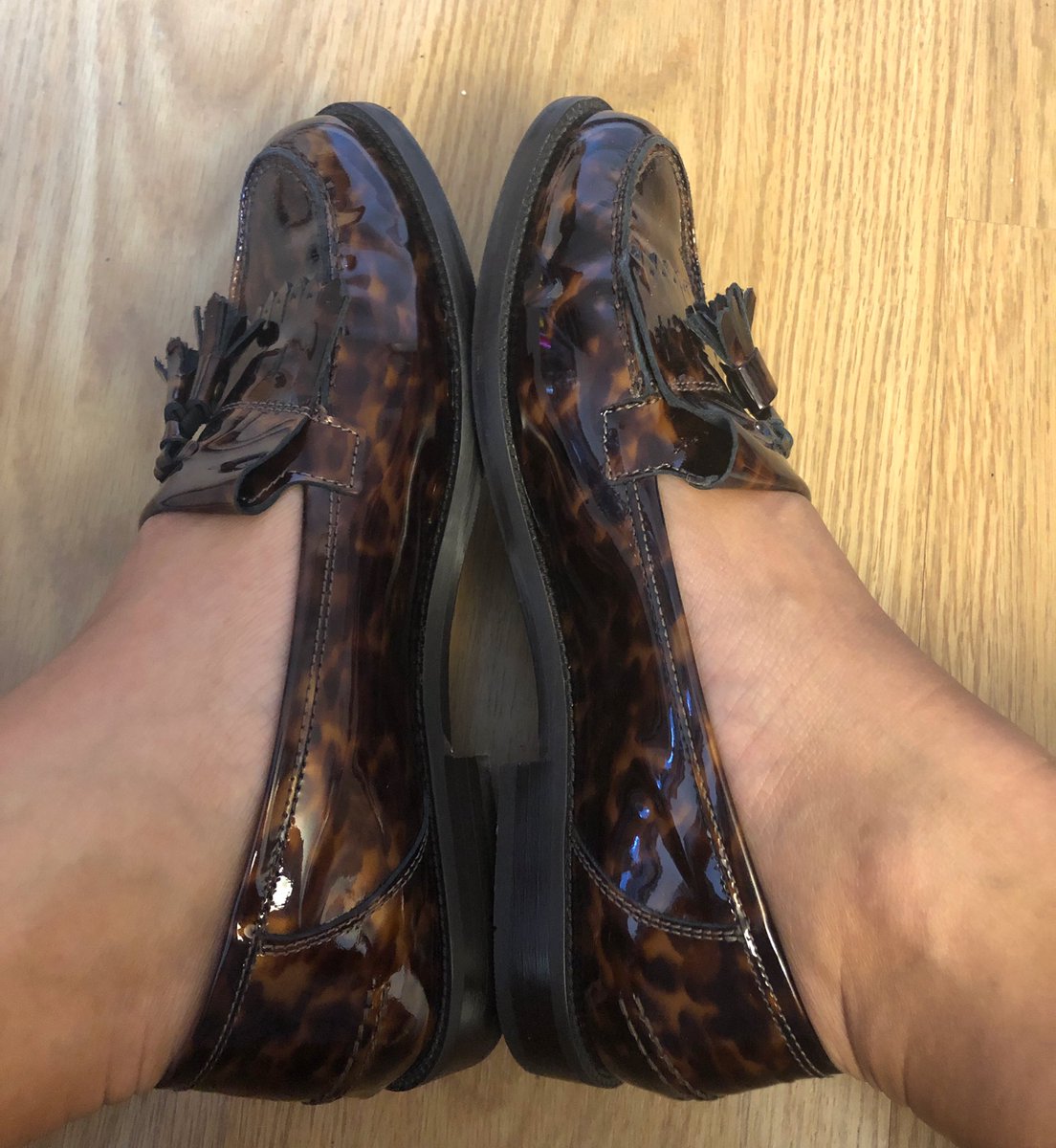 sarah_church's tweet photo. Flats are never as sexy as heels, but these go so far as to actually give me cankles.
#isolationflats #cankles #betterinreallife https://t.co/eySwchn0Ug